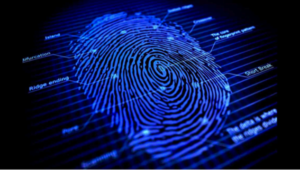 elid-finger-print-03