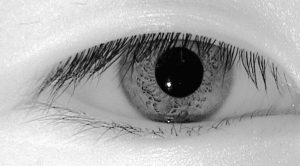 biometric-02